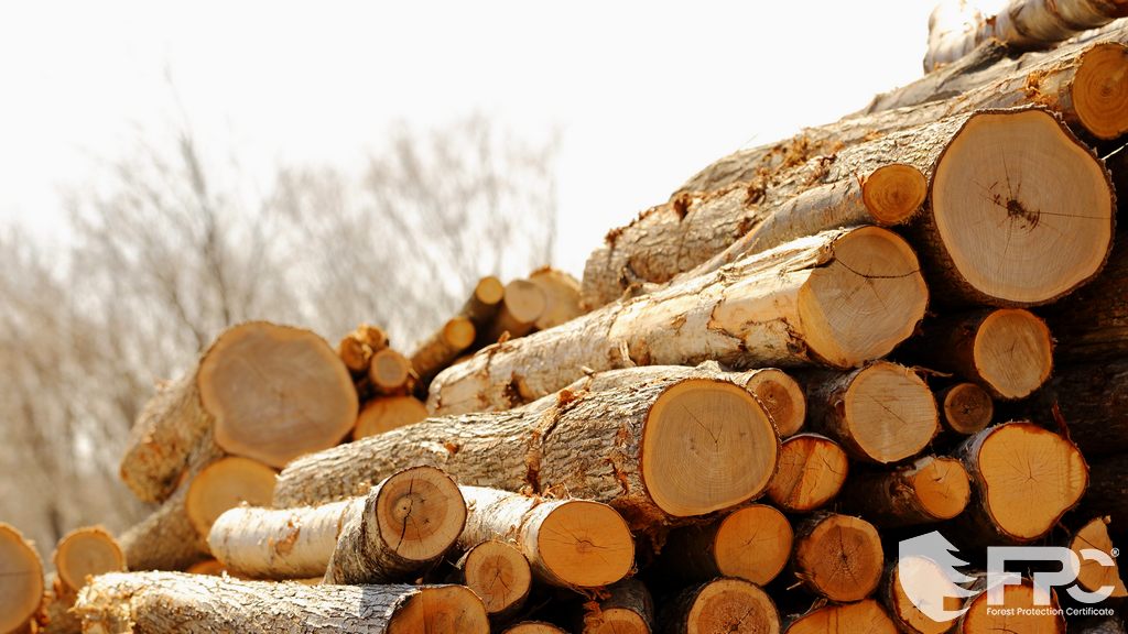 Die reis van hout van woude tot verbruikers