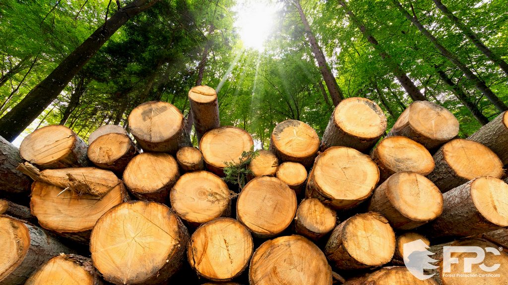 Approvvigionamento responsabile del legno