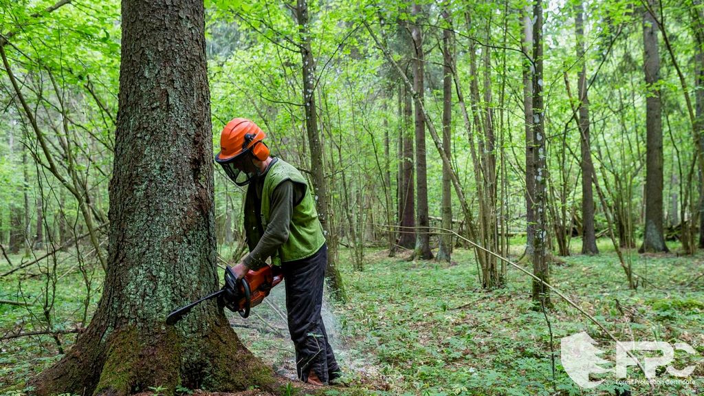 Il valore di FPC per le aziende Il valore di FPC per le aziende