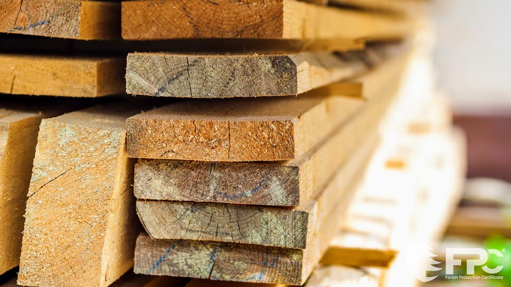 Mit zertifiziertem Holz eine bessere Zukunft aufbauen