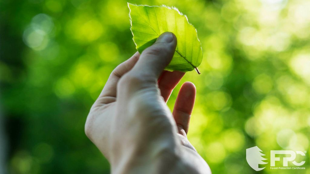 Sürdürülebilir Kalkınma Hedefleri